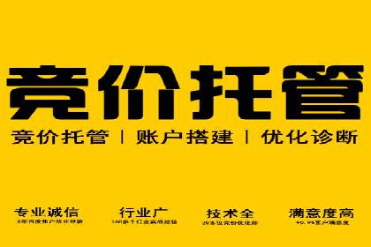 案例分享：SEM竞价代运营助力企业增长